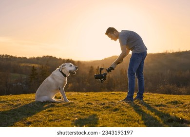 Cute dog (labrador retriever) posing for filming on meadow at sunset. Videographer holding gimbal with camera.
