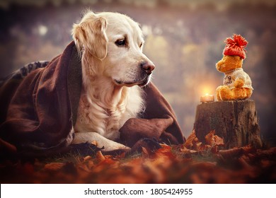 Dog Candle Images Stock Photos Vectors Shutterstock