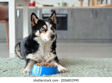 Cute Dog Near Bowl With Dry Food At Home