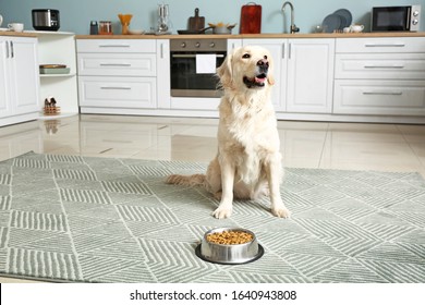 Cute Dog Near Bowl With Food In Kitchen