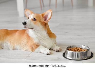 コーギー 犬 の写真素材 画像 写真 Shutterstock