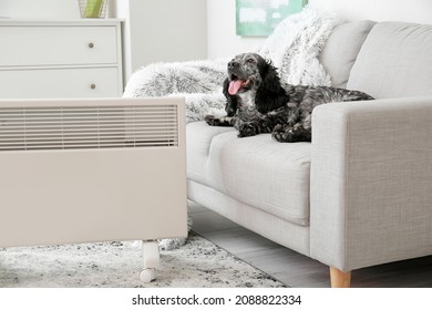 2,563 Convector heater Images, Stock Photos & Vectors | Shutterstock