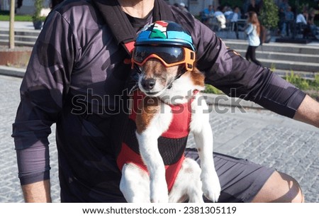 Cute Dog on a Bicycle with Helmet and Goggles
