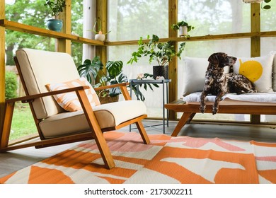a cute dog on a chair in a screened porch