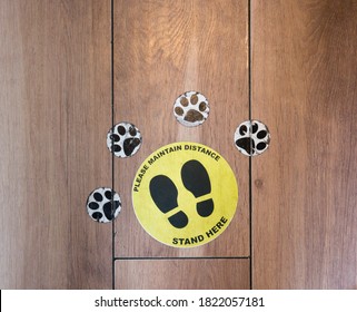 Cute Dog Paw Prints Covid-19 Social Distancing Sticker On A Wooden Floor In A Pet Store