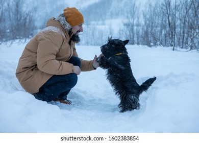 The cute dog performs a command of his master in a snow