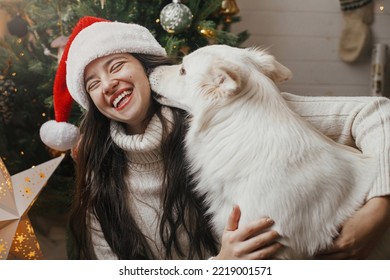 Cute dog playing with owner at stylish christmas tree. Pet and winter holidays. Happy woman in santa hat hugging funny white danish spitz dog in festive room. Merry Christmas! - Powered by Shutterstock