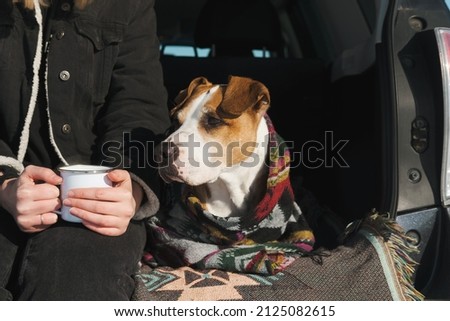 Cute dog in poncho sits in a car trunk next to her human. Travelling, camping and exploring nature with pets scene.