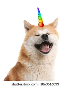 Cute Dog With Rainbow Unicorn Horn On White Background