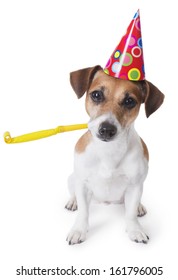 Cute Dog In Red Party Hat Designed Colored Circles With Yellow Party Noise Maker Wishes Happy Birthday. White Background. Studio Shot