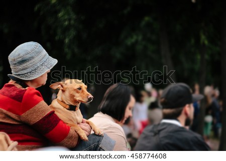 cute dog sitting with his old woman owner at music festival in summer