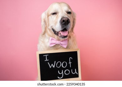 Cute dog sitting and an I LOVE YOU sign pink background  Golden Retriever Valentine's Day