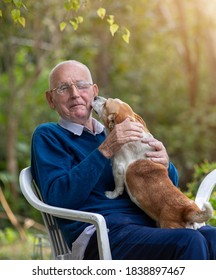 Cute Dog Sitting In Old Man Lap And Kissing Him In Garden