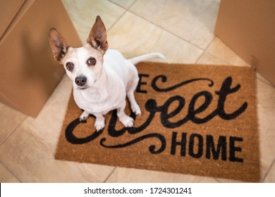 Cute Dog Sitting On Home Sweet Home Welcome Mat On Floor Near Boxes.