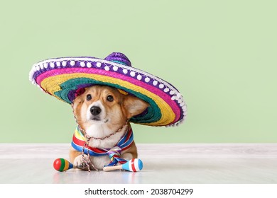 Cute Dog With Sombrero And Maracas Near Color Wall