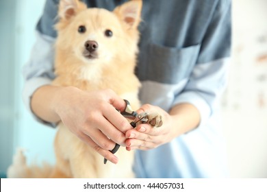 dog groomer nail clippers