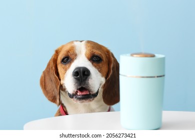 Cute dog and table with modern humidifier on color background - Shutterstock ID 2056273421