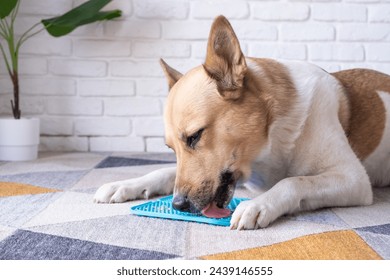 cute dog using lick mat for eating food slowly, licking peanut butter - Powered by Shutterstock