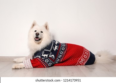 cute dog christmas sweaters