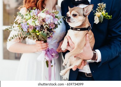 Cute dog at the wedding