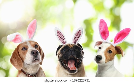 Cute Dogs With Bunny Ears Headbands Outdoors, Collage. Happy Easter