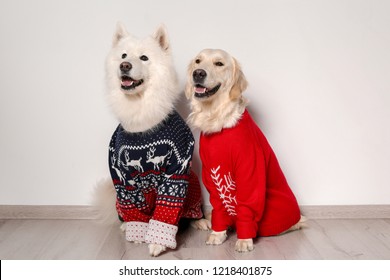 dog xmas sweaters