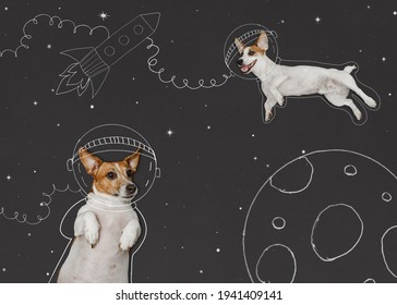 Cute dogs in the space suit drawing on blackboard. First trip to space concept. 