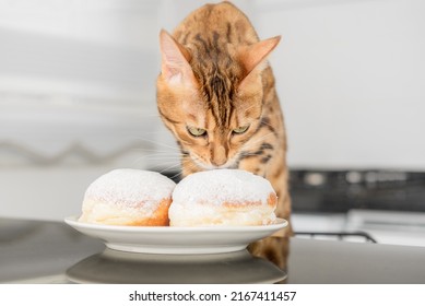 A Cute Domestic Cat Eats Or Licks A Jelly Donut.