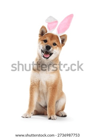 Cute Easter bunny. Dog with rabbit ears headband on white background