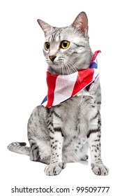 A Cute Egyptian Mau Breed Cat With A US Flag Patterned Bandana Tied Around Her Neck.   White Background.