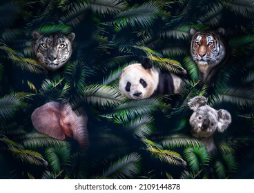 Cute endangered animals lurking in the leaves in the jungle showing their faces. Concept design for themes like wildlife, wilderness, endangered animals, protection of animals and more. Space for text