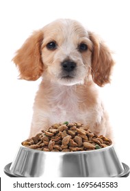 Cute English Cocker Spaniel Puppy And Feeding Bowl With Dog Food On White Background