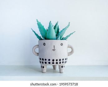 Cute face ceramic plant pot with green succulent plant on white wooden shelf isolated on white wall background. Small modern DIY cement planter trendy decoration.