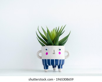 Cute face ceramic plant pot with green succulent plant on white wooden shelf isolated on white wall background with copy space. Small modern DIY cement planter trendy decoration. - Powered by Shutterstock