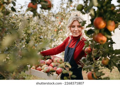 Cute farmer woman with freshly harvested apples in wooden box. Agriculture and gardening concept - Powered by Shutterstock