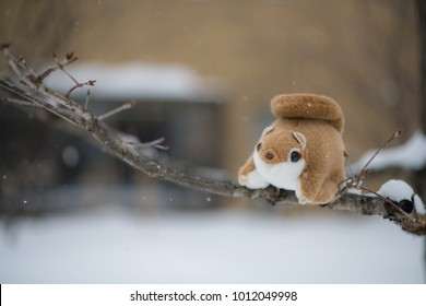 Ezo Momonga Images Stock Photos Vectors Shutterstock