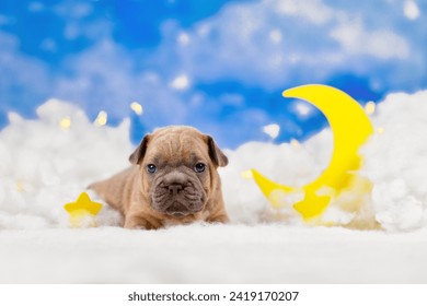 Cute fawn French Bulldog dog puppy between fluffy clouds with moon and stars