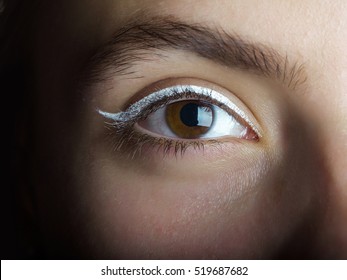 Cute Female Eye Of Brown Color With White Eyeliner Makeup And Bushy Eyebrow On Pretty Girl Face