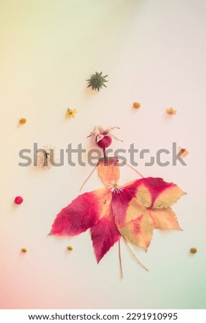 Similar – Autumn flowers and leaves decoration with bunch of flowers