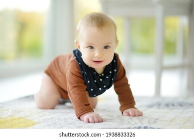 Cute Five Months Old Baby Boy Rocking Back And Forth On Hands And Knees. Baby During Floortime. Cute Little Child Learning To Crawl.