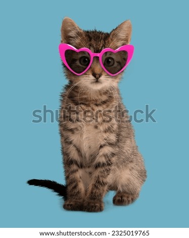 Cute fluffy kitten with heart shaped sunglasses on light blue background