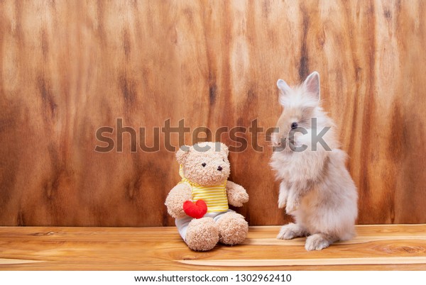 fluffy rabbits and teddy bears