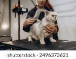 Cute fluffy white Persian cat lying comfortably on pet grooming table while getting a new haircut with scissor and comb by Asian professional pet groomer in pet grooming apron at a pet grooming salon.