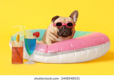 Cute French bulldog with glasses, inflatable ring and cocktails on yellow background - Powered by Shutterstock