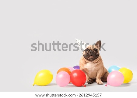 Cute French bulldog in party hat with air balloons on grey background