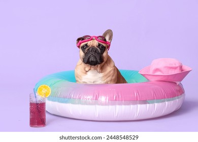 Cute French bulldog with swimming glasses, hat, inflatable ring and glass of cocktail on purple background - Powered by Shutterstock