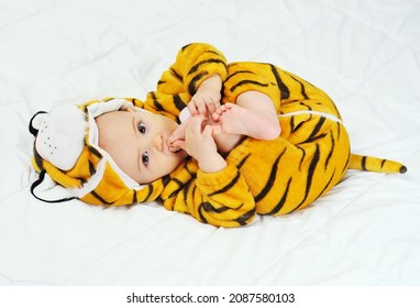 cute funny baby in a tiger costume lies on a white background and bites his leg. The Year of the Tiger.