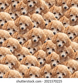 Cute Funny Brown Poodle Dog Head Pattern.