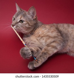 Katze Skizze Stockfotos Bilder Und Fotografie Shutterstock