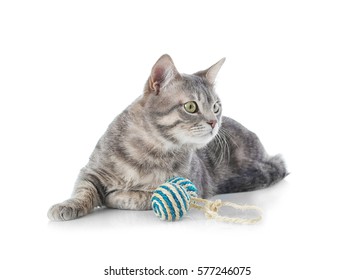 Cute Funny Cat With Toy On White Background